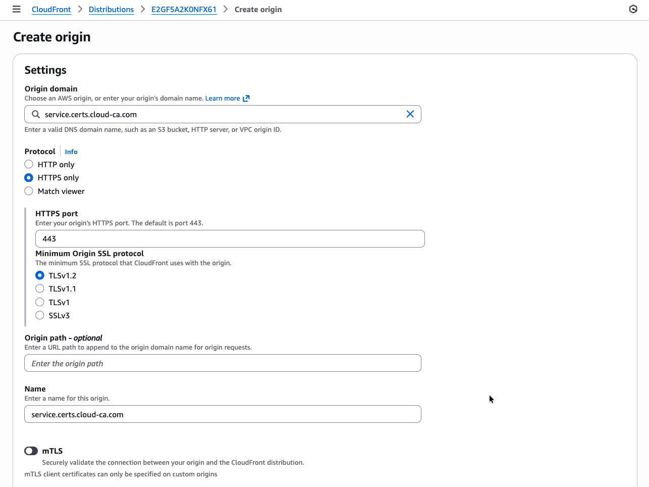CloudFront origin domain