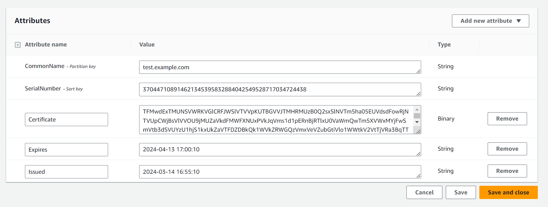 DynamoDB item details